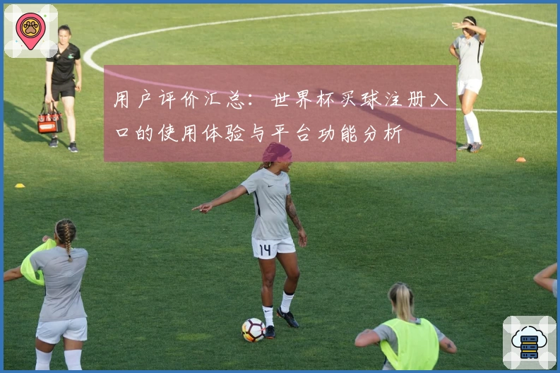 用户评价汇总：世界杯买球注册入口的使用体验与平台功能分析