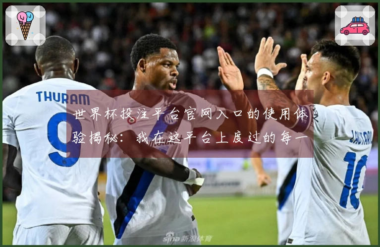 世界杯投注平台官网入口的使用体验揭秘：我在这平台上度过的每一场赛事