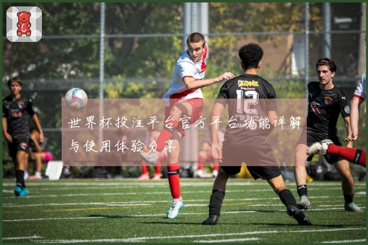 世界杯投注平台官方平台功能详解与使用体验分享